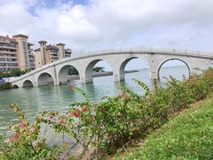 -万绿园
