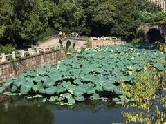 -水绘园