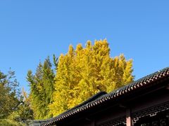 -郑和公园