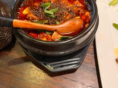 -陈麻婆豆腐(旗舰店)