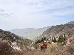 -罗田天堂寨风景区