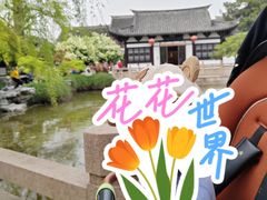 -常熟方塔园