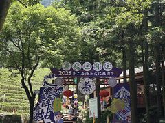 -姑婆山旅游区