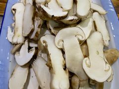 -菌之家·专业纯野生菌火锅·特色炒菌