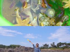 -前王院•巧克力海鲜市集餐厅(万平口店)