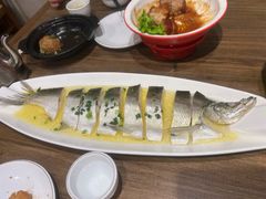 清蒸白鱼-锡和无锡菜(景丽苑店)
