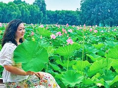 -东郊湿地公园