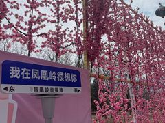 -北京凤凰岭