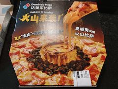 -达美乐比萨(国瑞北路店)