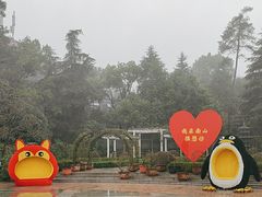 -南山植物园