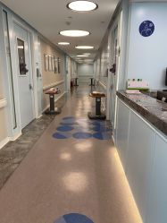 -杭州贝瑞斯美华妇儿医院·早孕·产检·儿科