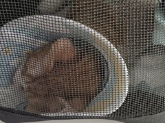 -良伴无忧宠物医院(泰欣嘉园店)