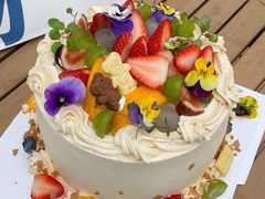 -Dark Horse·黑马蛋糕·低脂·低糖淡奶(金匙望湖大厦店)