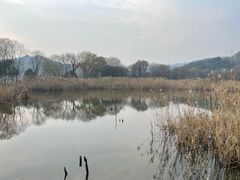-西湖风景区-江洋畈生态公园