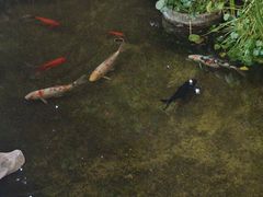 -道南書院·私房菜·早午茶·茶馆