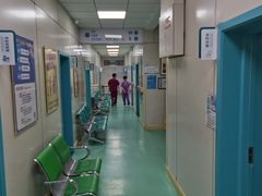 -北京观赏动物医院·24小时大型综合·猫专科·异宠专科