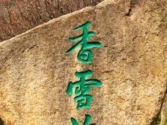 -香雪海