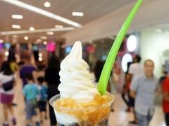 2-Salud撒露欧洲冻酸奶(蓝色港湾店)
