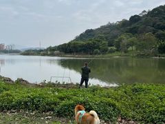 -风云岭森林公园