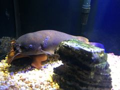 -皇家极地海洋世界-售票处