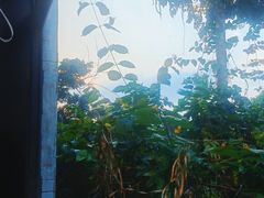 -默迹咖啡馆