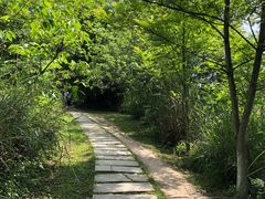 -桤木河湿地公园