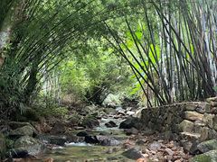 -竹庄餐馆·26年店(南昆山景区店)