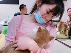 -逗柴咖啡屋·狗咖猫咖宠物桌游
