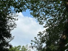 -福建鲤鱼洲酒店