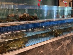 -海立阁海鲜江浙菜(漕河泾印象城店)