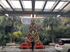-广州富力丽思卡尔顿酒店