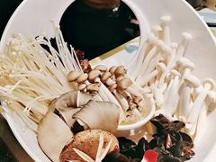 菌类拼盘-洪氏嗨捞·猪肚鸡火锅(阳光天地店)