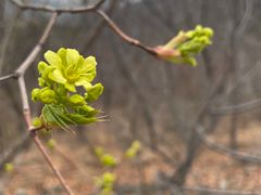 -北京西山国家森林公园