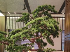 -聆桂烤鸭·金奖烤鸭(静联广场店)