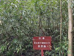 -都江堰中华大熊猫苑
