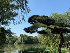 -新荣记(西溪湿地店)