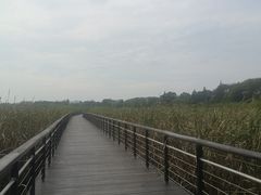 -太湖湖滨国家湿地公园-停车场