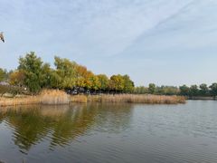 -永定河休闲森林公园