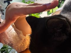 -李小姐の猫咖啡馆(五角场店)