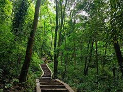 -青城山