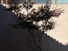 -和顺柏联温泉