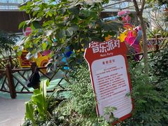 -南宫五洲植物乐园