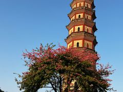 -广州莲花山旅游区