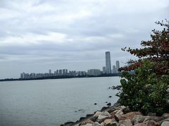 -深圳湾公园(南山区)