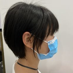 -YESIDO椰岛造型