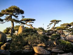 -罗红摄影艺术馆