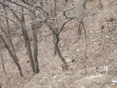 -云龙山