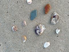 -西涌国际滨海旅游区