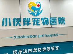-小伙伴宠物医院·CT·骨科·眼科(高新店)