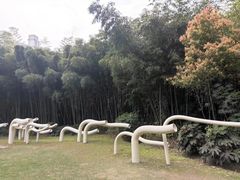 -苏州河梦清园环保主题公园